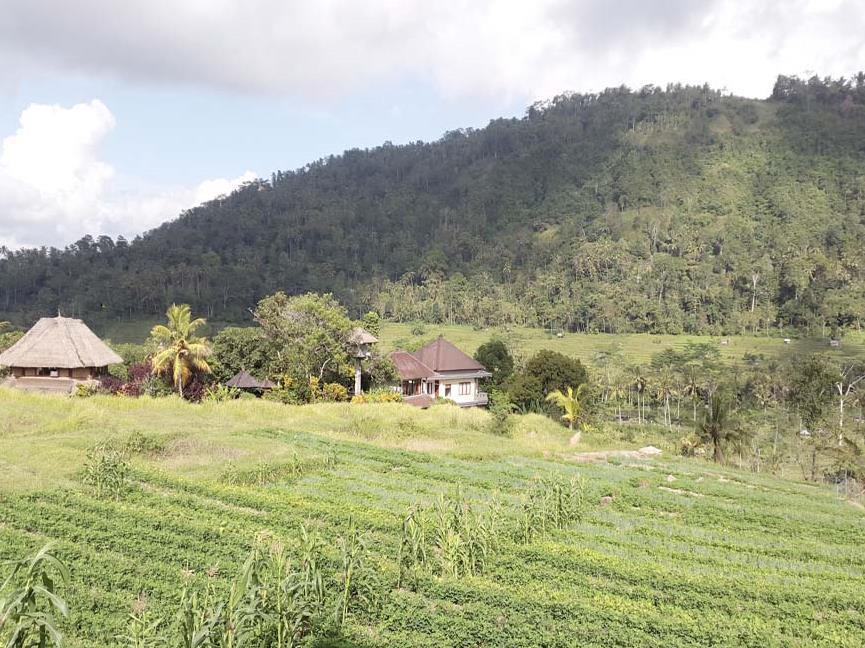 Embang Homestay Сидемен Экстерьер фото